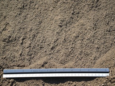 Screened Topsoil